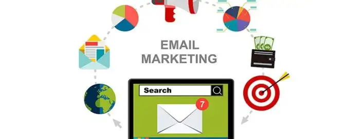 Best Email Marketing Tools for Small US Businesses